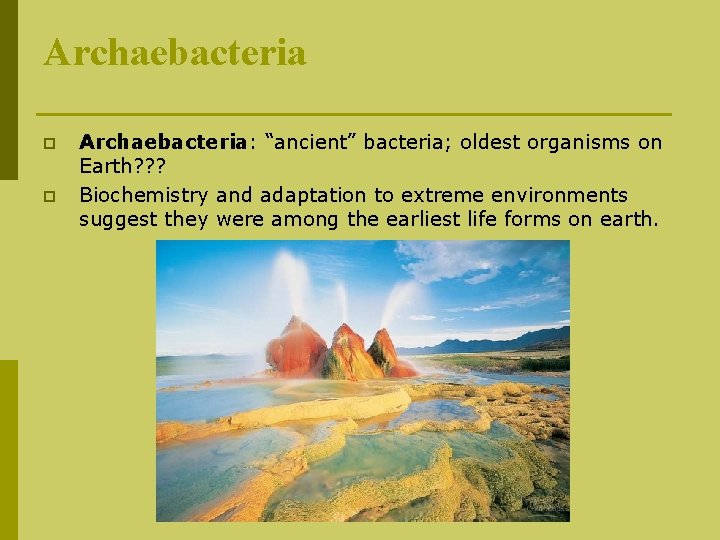 Archaebacteria p p Archaebacteria: “ancient” bacteria; oldest organisms on Earth? ? ? Biochemistry and