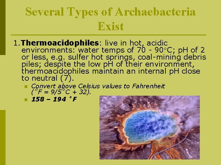 Several Types of Archaebacteria Exist 1. Thermoacidophiles: live in hot, acidic environments: water temps