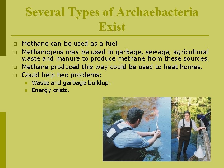 Several Types of Archaebacteria Exist p p Methane can be used as a fuel.