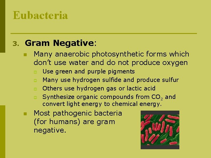 Eubacteria 3. Gram Negative: n Many anaerobic photosynthetic forms which don’t use water and