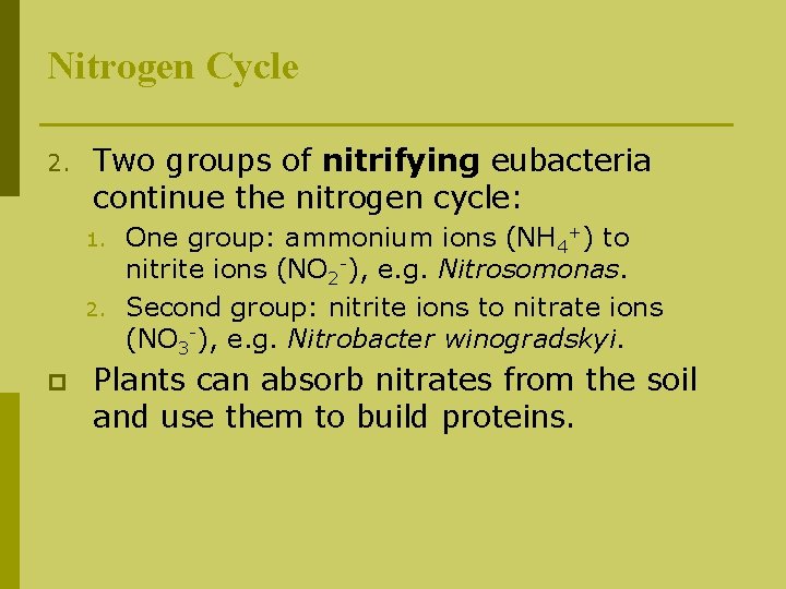 Nitrogen Cycle 2. Two groups of nitrifying eubacteria continue the nitrogen cycle: 1. 2.