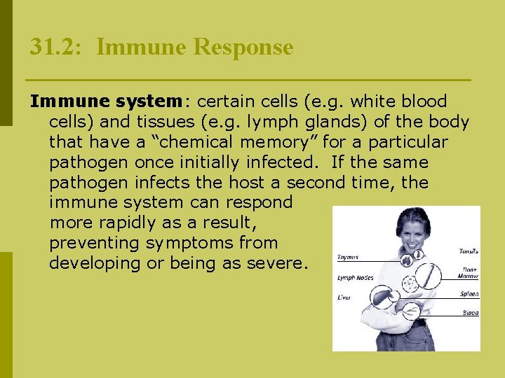 31. 2: Immune Response Immune system: certain cells (e. g. white blood cells) and