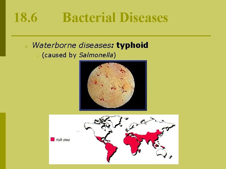 18. 6 o Bacterial Diseases Waterborne diseases: typhoid o (caused by Salmonella) 