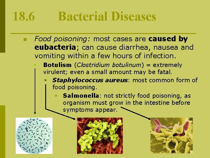18. 6 n Bacterial Diseases Food poisoning: most cases are caused by eubacteria; can