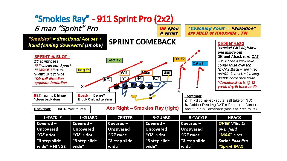 “Smokies Ray” - 911 Sprint Pro (2 x 2) 6 man “Sprint” Pro “Smokies” “Smokies Ray” - 911 Sprint Pro (2 x 2) 6 man “Sprint” Pro “Smokies”