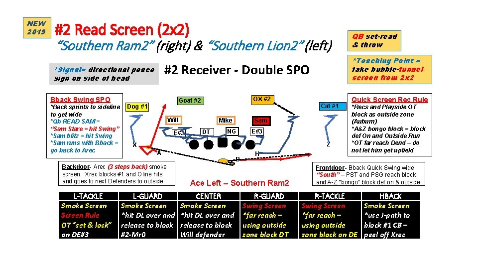 NEW 2019 #2 Read Screen (2 x 2) “Southern Ram 2” (right) & “Southern