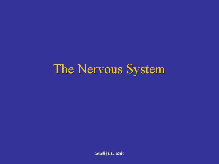 The Nervous System mehdi jalali majd 