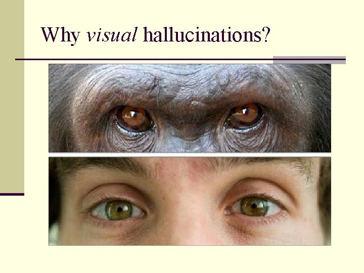 Why visual hallucinations? 