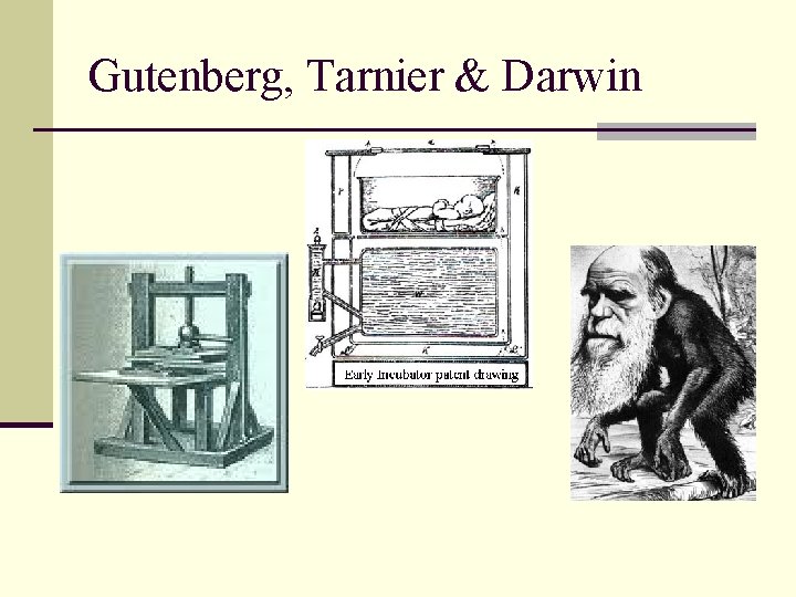 Gutenberg, Tarnier & Darwin 