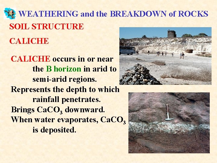 WEATHERING and the BREAKDOWN of ROCKS SOIL STRUCTURE CALICHE occurs in or near the