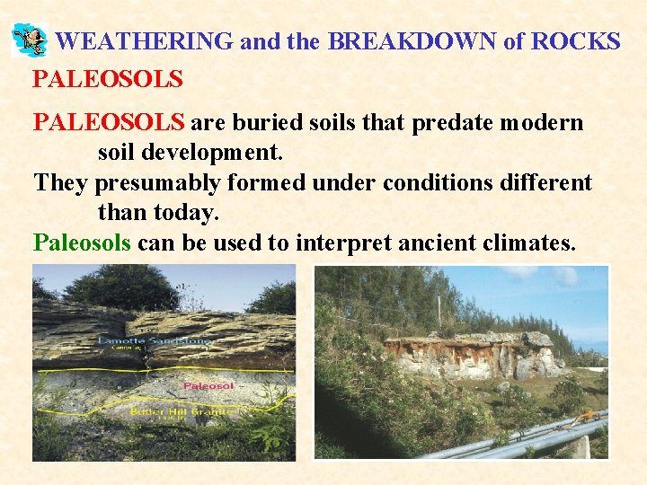 WEATHERING and the BREAKDOWN of ROCKS PALEOSOLS are buried soils that predate modern soil