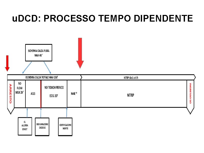 u. DCD: PROCESSO TEMPO DIPENDENTE u. DCD: PROCESSO TEMPO DIPENDENTE