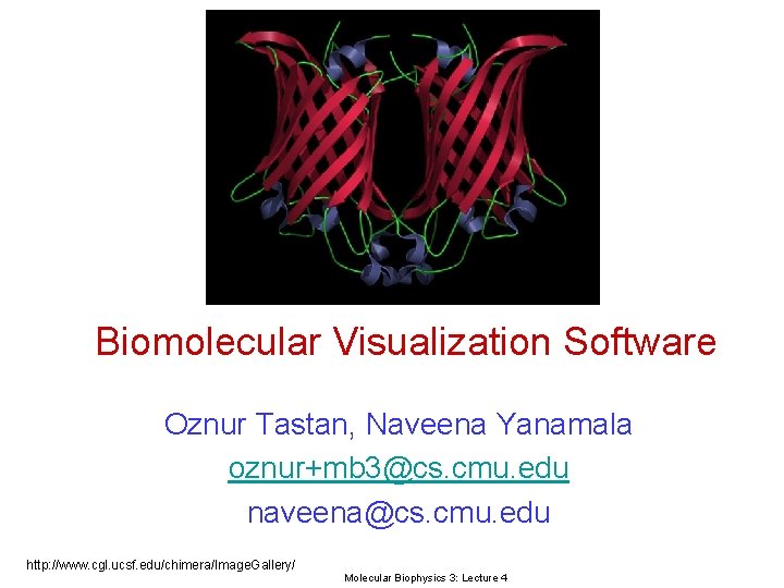 Biomolecular Visualization Software Oznur Tastan, Naveena Yanamala oznur+mb 3@cs. cmu. edu naveena@cs. cmu. edu