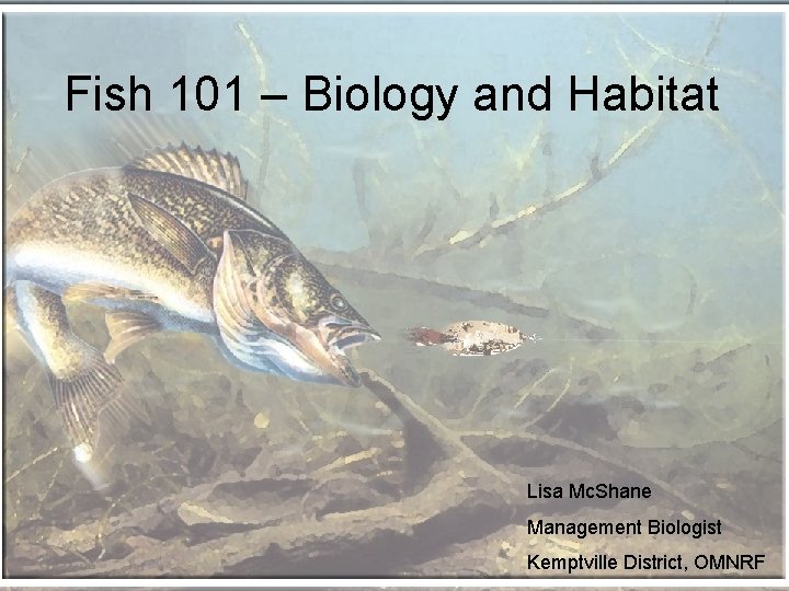 Fish 101 – Biology and Habitat Lisa Mc. Shane Management Biologist Kemptville District, OMNRF