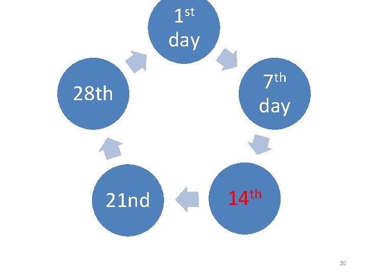 st 1 day 28 th 21 nd 7 th day 14 th 20 