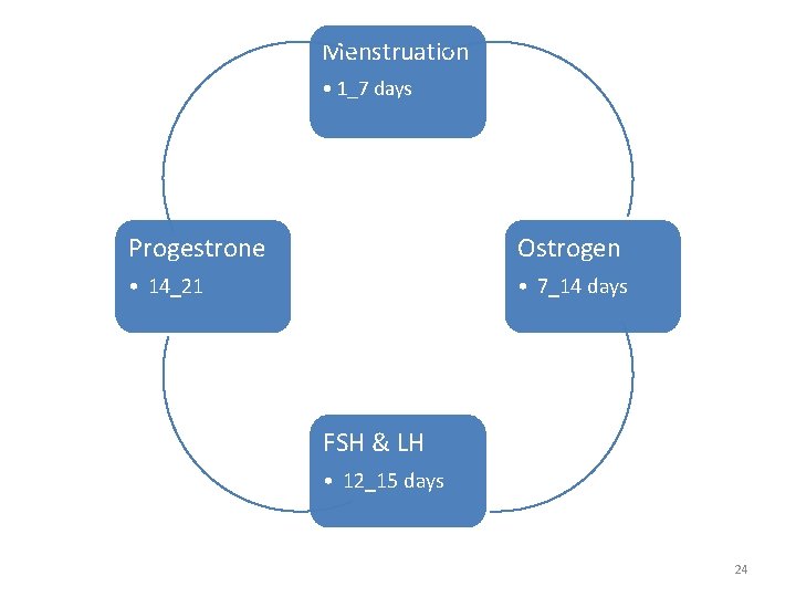 Menstruation • 1_7 days Progestrone Ostrogen • 14_21 • 7_14 days FSH & LH