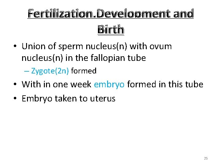 Fertilization, Development and Birth • Union of sperm nucleus(n) with ovum nucleus(n) in the