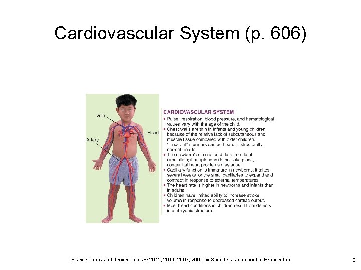 Cardiovascular System (p. 606) Elsevier items and derived items © 2015, 2011, 2007, 2006