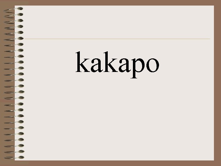 kakapo kakapo