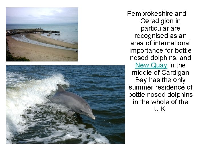 Pembrokeshire and Ceredigion in particular are recognised as an area of international importance for