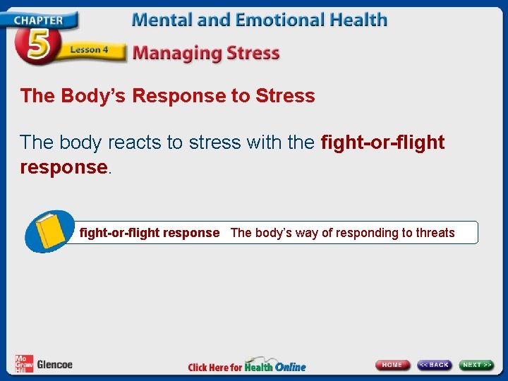 The Body’s Response to Stress The body reacts to stress with the fight-or-flight response