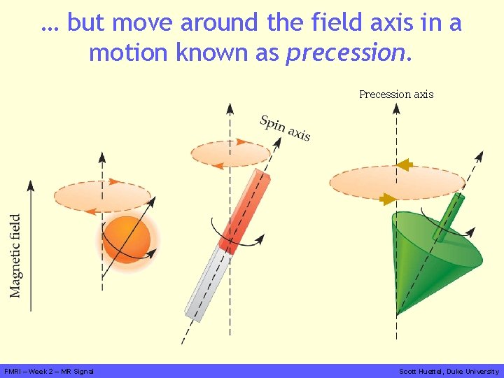 … but move around the field axis in a motion known as precession. Precession