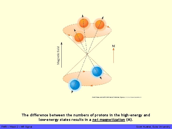 The difference between the numbers of protons in the high-energy and low-energy states results