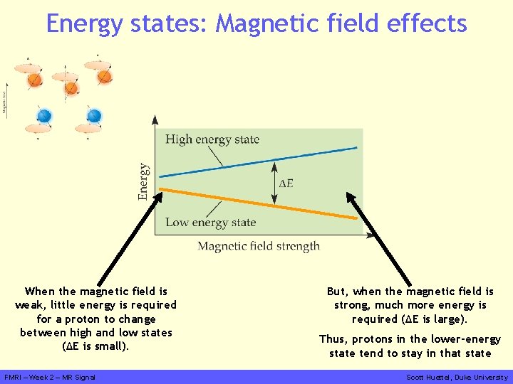 Energy states: Magnetic field effects When the magnetic field is weak, little energy is