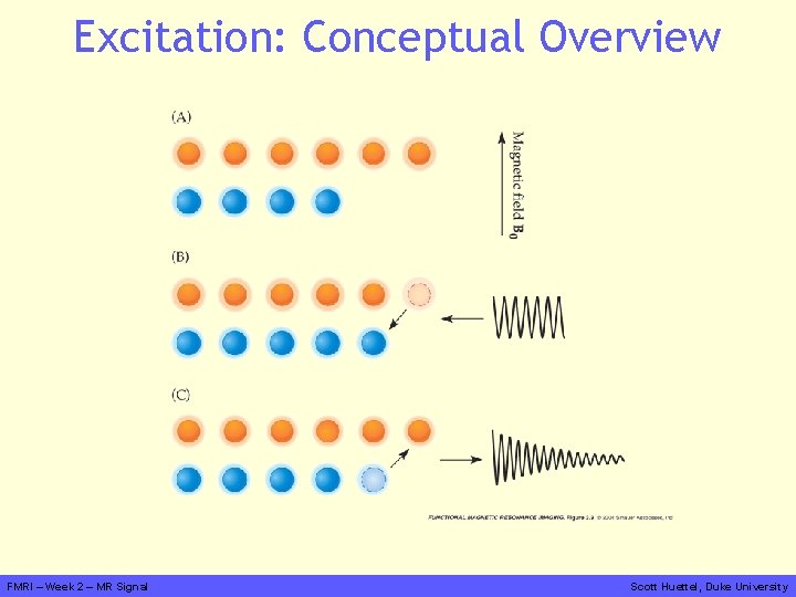 Excitation: Conceptual Overview FMRI – Week 2 – MR Signal Scott Huettel, Duke University