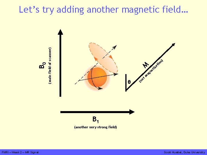 θ (net magnetization) M (main field of scanner) B 0 Let’s try adding another