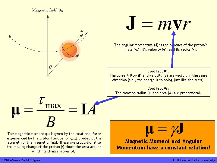 The angular momentum (J (J) is the product of the proton’s mass (m m