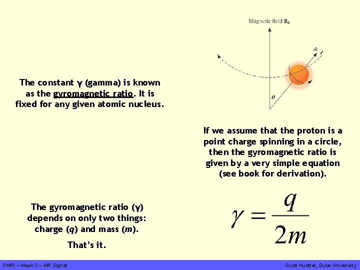 The constant γ (gamma) is known as the gyromagnetic ratio. It is fixed for