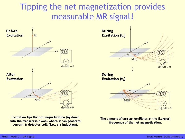 Tipping the net magnetization provides measurable MR signal! Before Excitation During Excitation (to) After
