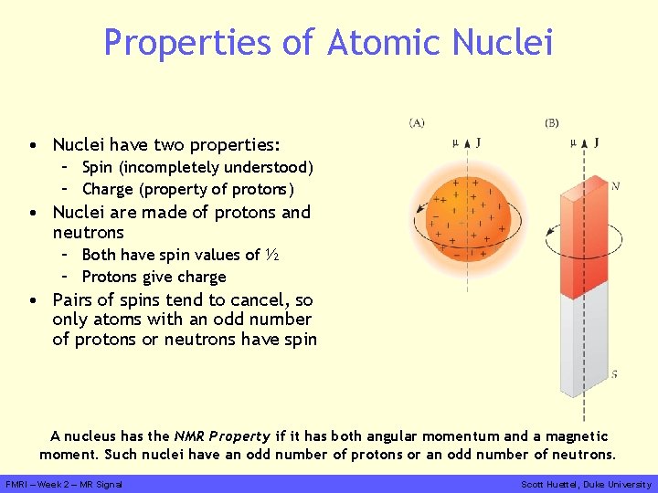 Properties of Atomic Nuclei • Nuclei have two properties: – Spin (incompletely understood) –