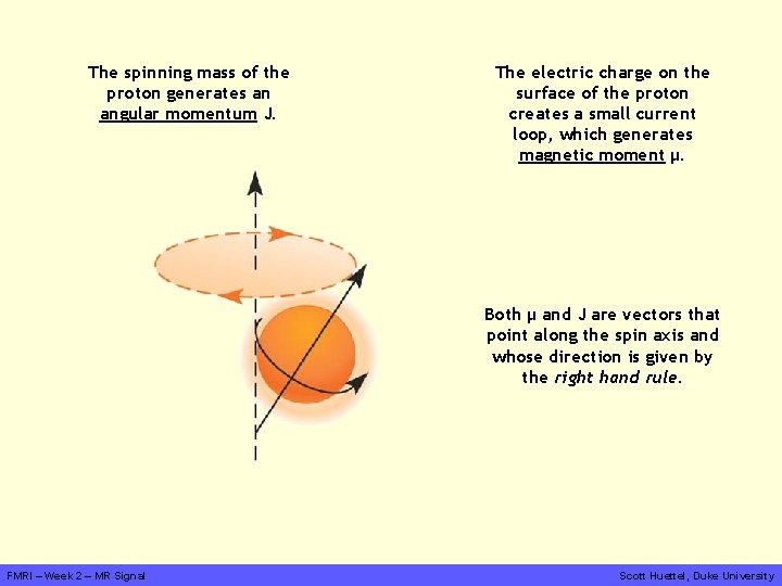 The spinning mass of the proton generates an angular momentum J. The electric charge