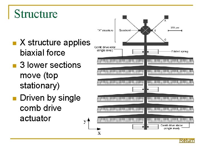 Structure n n n X structure applies biaxial force 3 lower sections move (top Structure n n n X structure applies biaxial force 3 lower sections move (top