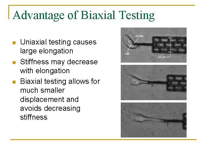 Advantage of Biaxial Testing n n n Uniaxial testing causes large elongation Stiffness may Advantage of Biaxial Testing n n n Uniaxial testing causes large elongation Stiffness may