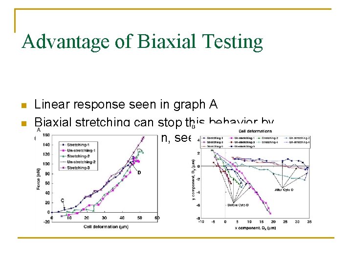 Advantage of Biaxial Testing n n Linear response seen in graph A Biaxial stretching Advantage of Biaxial Testing n n Linear response seen in graph A Biaxial stretching