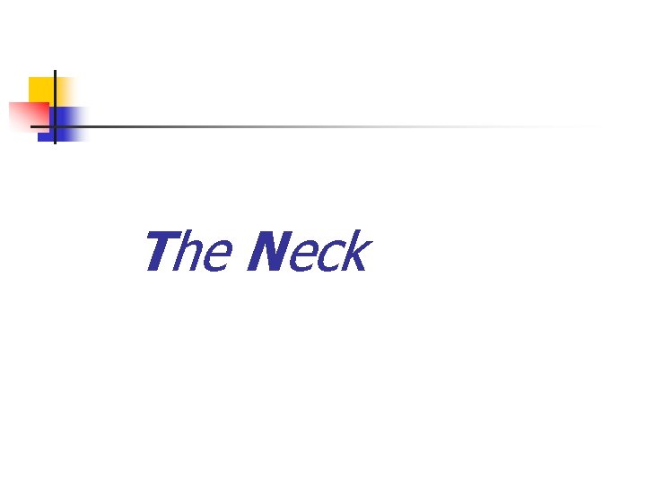 The Neck 