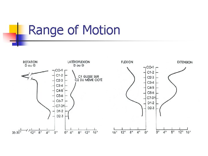 Range of Motion 