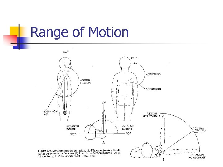 Range of Motion 