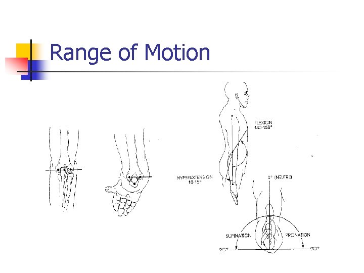 Range of Motion 
