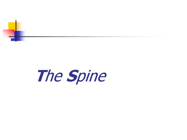 The Spine 