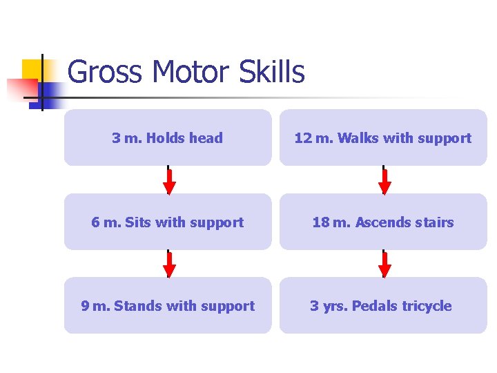 Gross Motor Skills 3 m. Holds head 12 m. Walks with support 6 m.