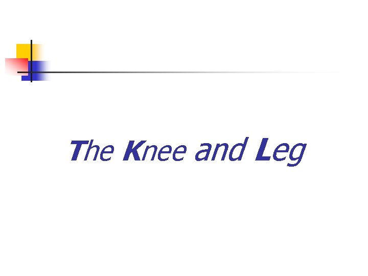 The Knee and Leg 
