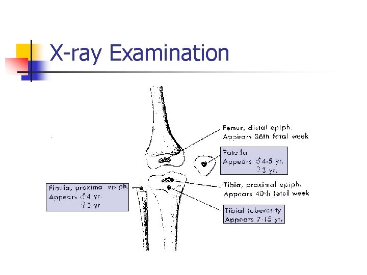 X-ray Examination 