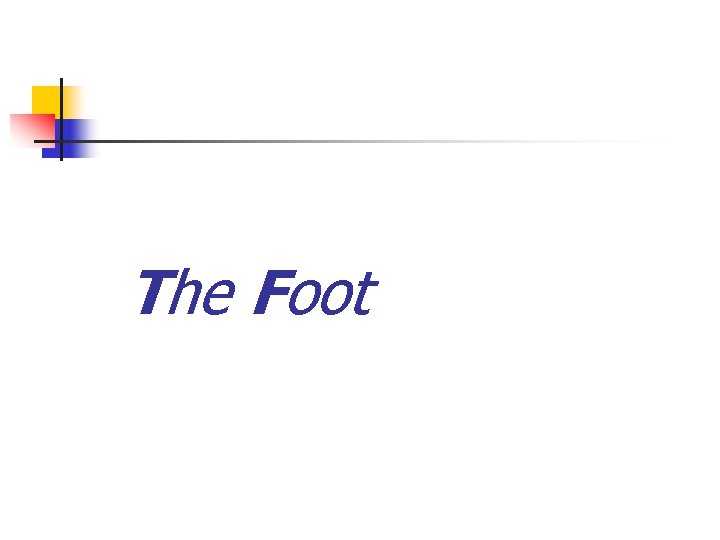 The Foot 