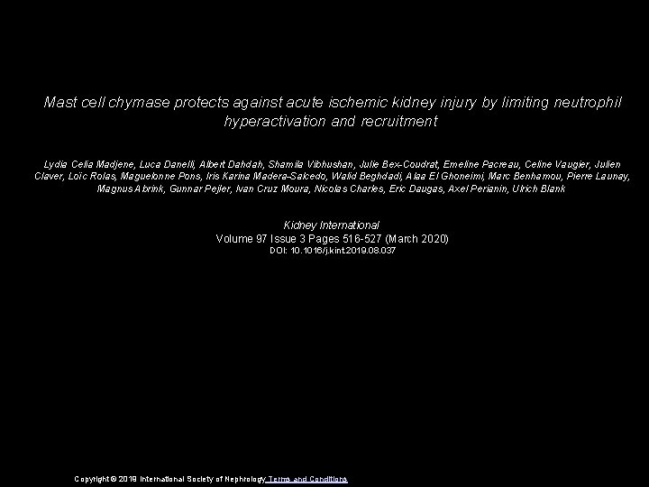 Mast cell chymase protects against acute ischemic kidney injury by limiting neutrophil hyperactivation and