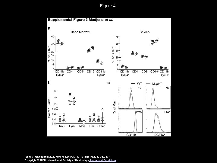 Figure 4 Kidney International 2020 97516 -527 DOI: (10. 1016/j. kint. 2019. 08. 037)