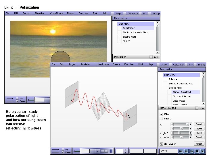 Light - Polarization Here you can study polarization of light and how our sunglasses